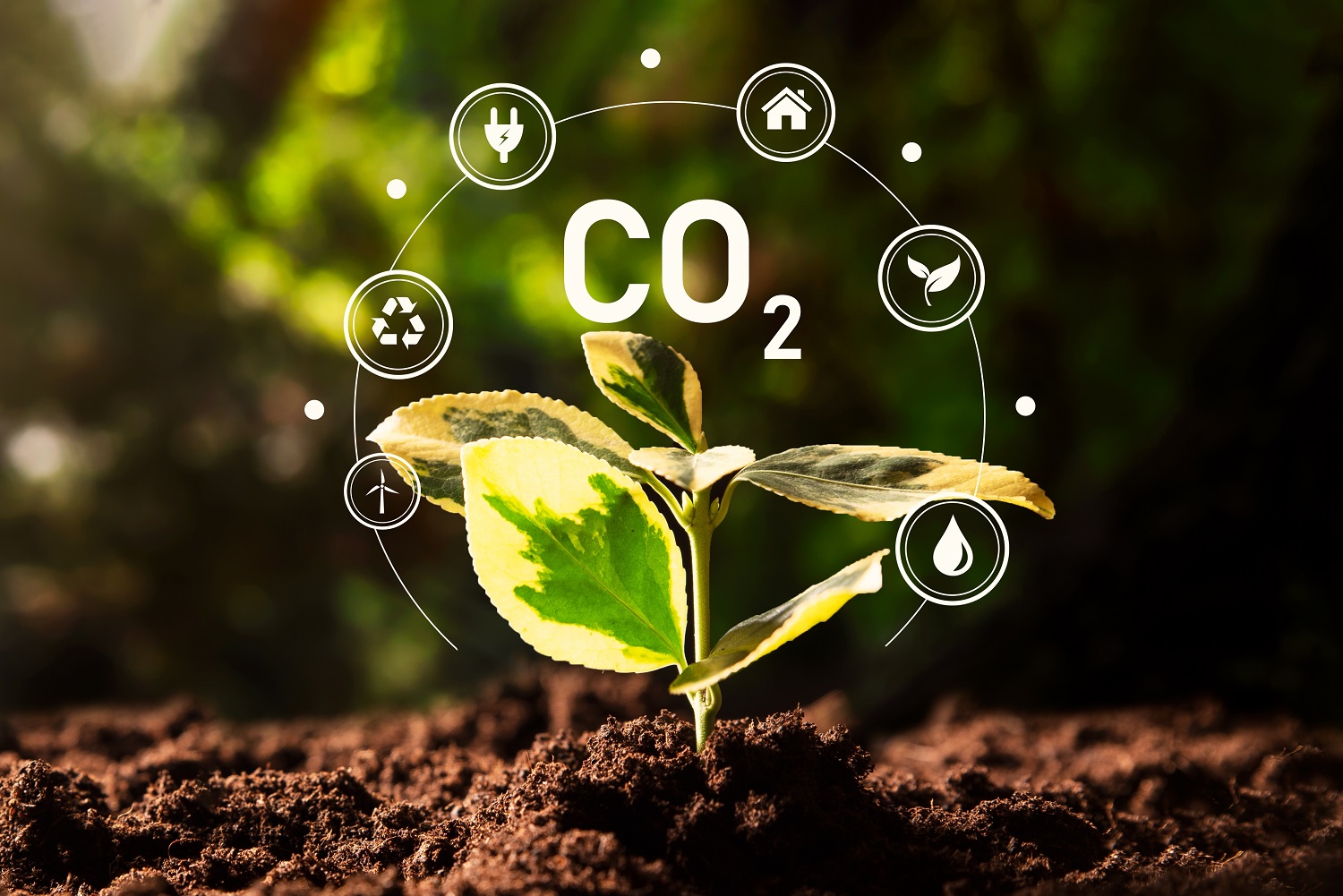 CO2