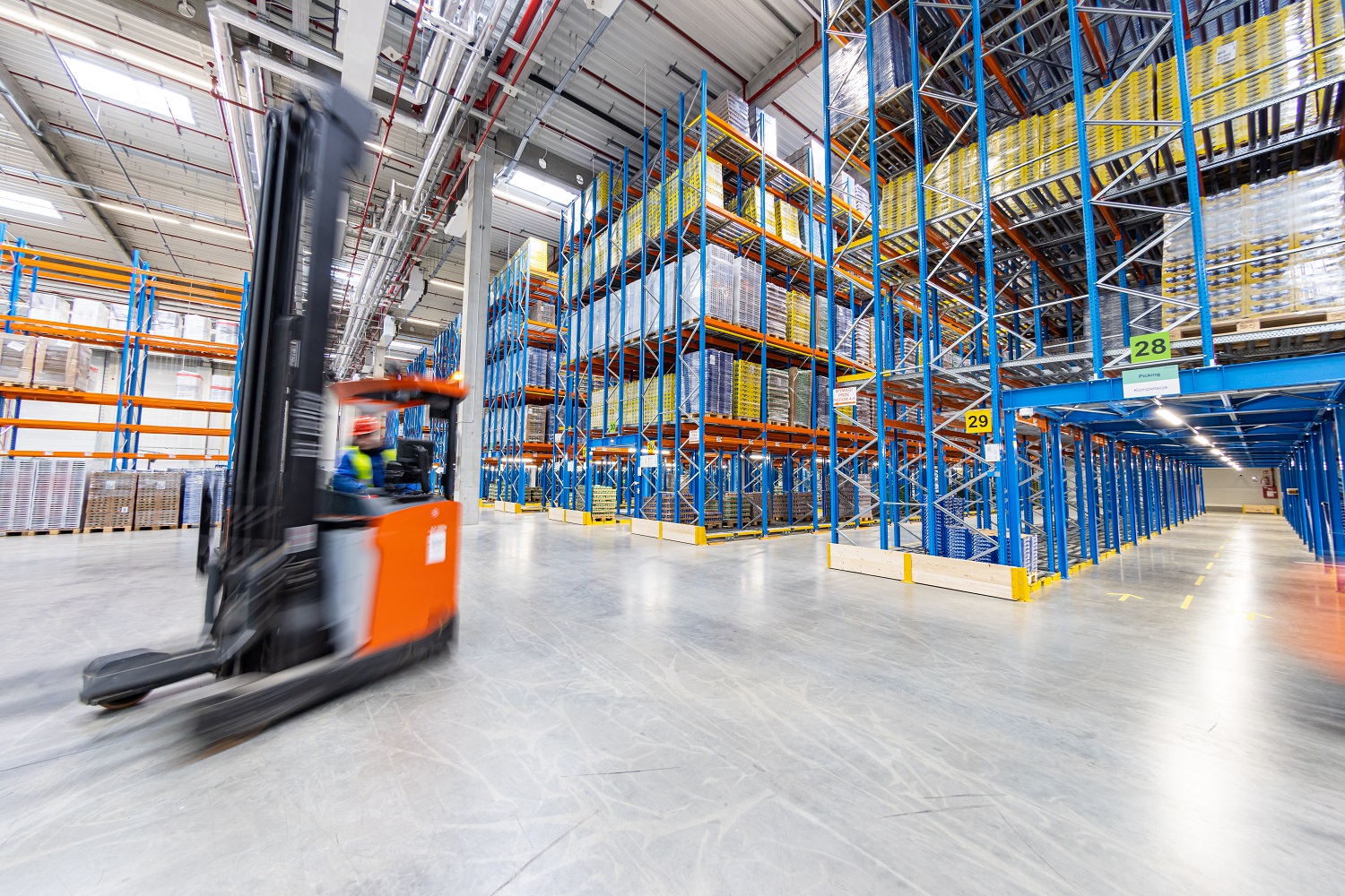 regaly.jpg Prologis Essentials_racking
