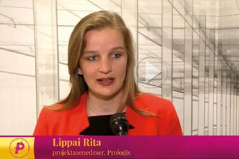 Rita Lippai TV Interview Rita Lippai