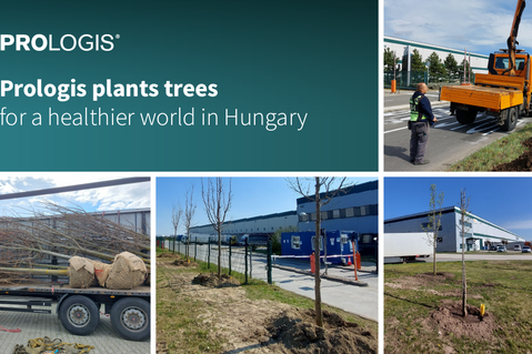 plants-trees plants-trees