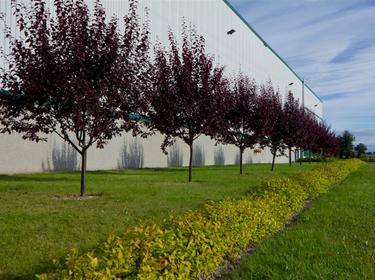 Prologis Park Teresin